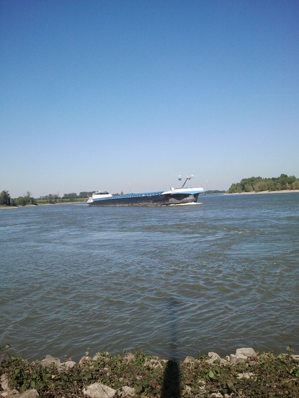 Es ist möglich ab Ferienwohnung direkt zum Rhein hinunterzugehen und an dessen Ufer entlang zu laufen. Hier mit Blick auf einen Frachter. | https://ferienwohnung-neiling-niederrhein.de/